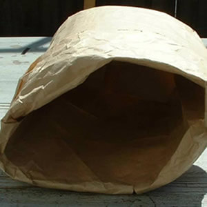 Paper Cavy Cave
