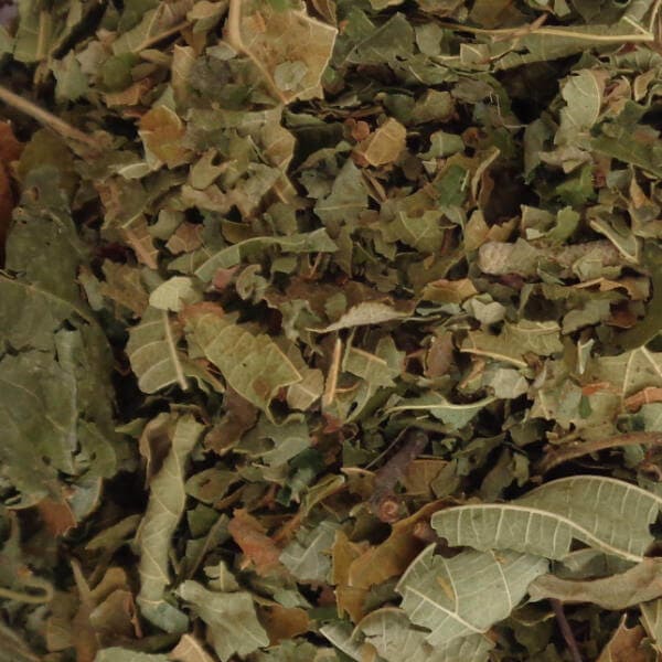 Single Dried Herbs - Hazel Leaf 1kg Bag