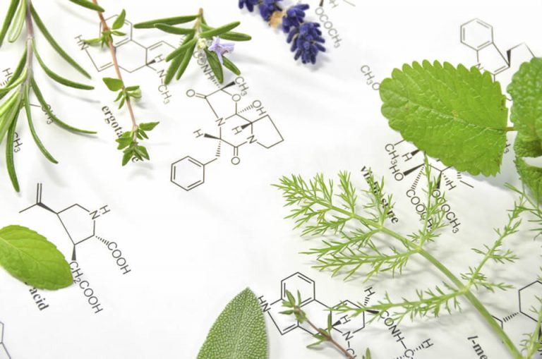 Herb Constituents and their Actions Galens Garden